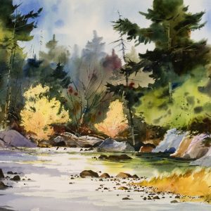 Original watercolor painting "Adirondack Stream"  by Paul Allen Taylor
