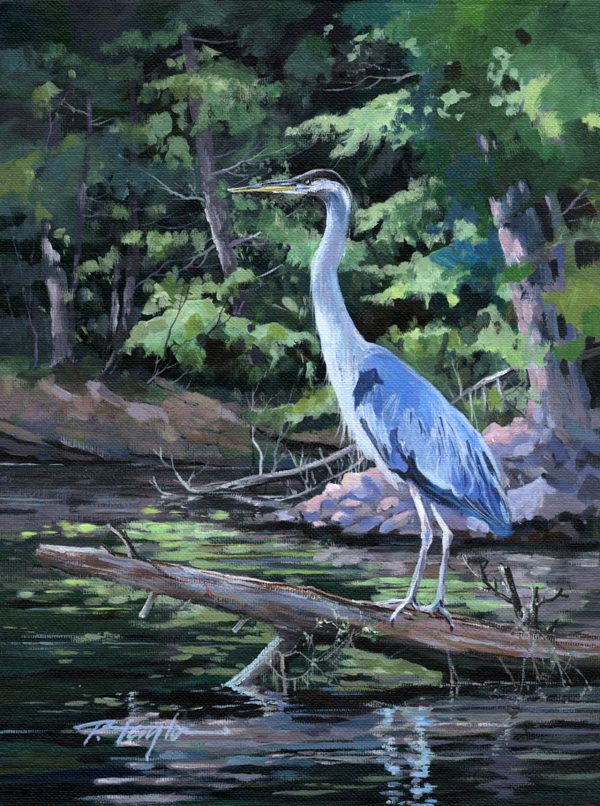 Fine Art Giclée print of a Blue Heron