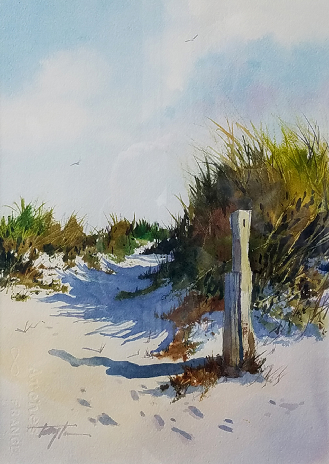 Sand and Shadows